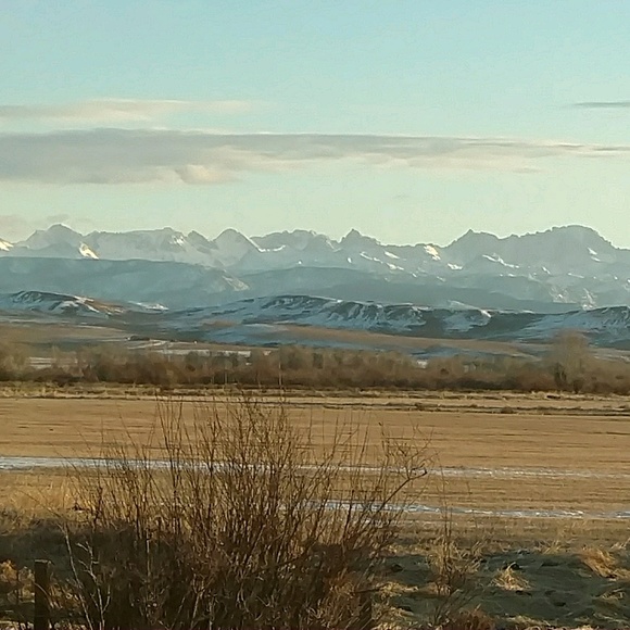 Meet your Posher, Cheryl - Picture 1 of 1